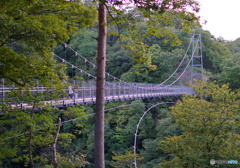 吊り橋