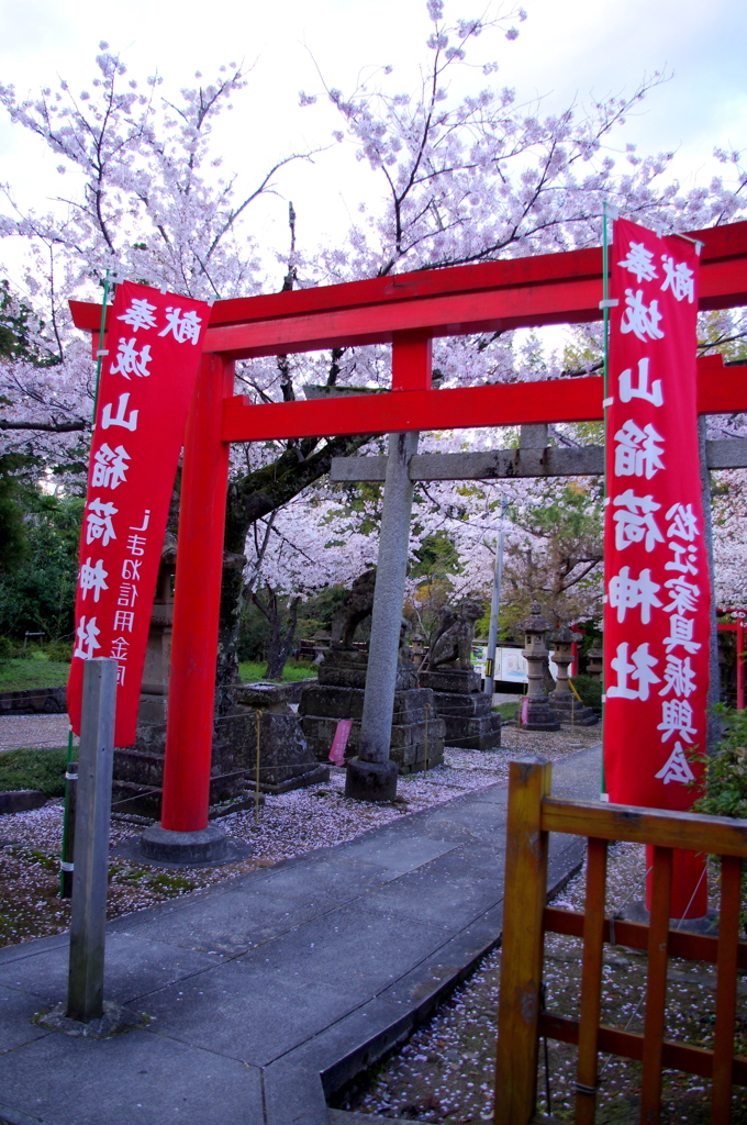 桜のある風景（神社）