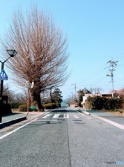 海の見える町