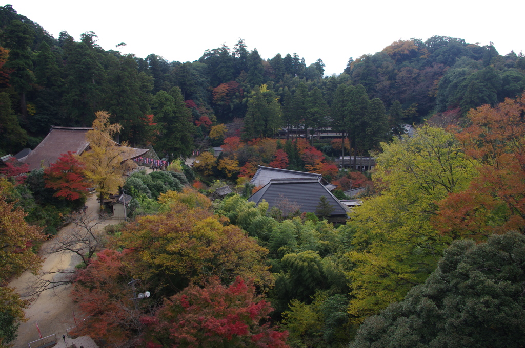 紅葉狩り