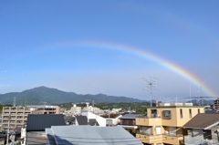 台風一過の虹