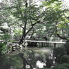 兼六園を歩く