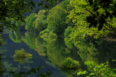 新緑の湖