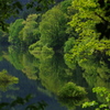 新緑の湖