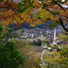 紅葉の窓から