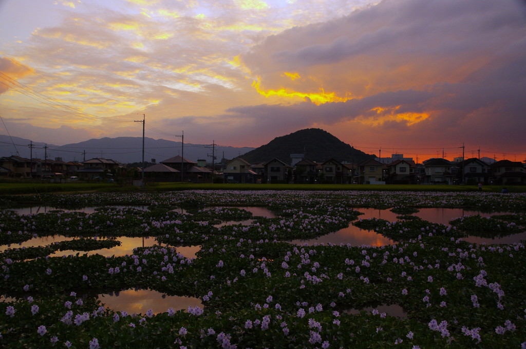 夕景