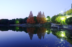 明治池公園 