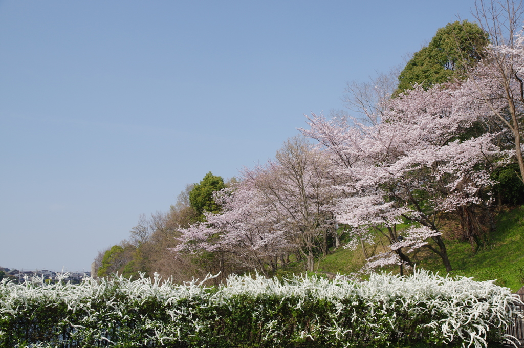 寺ヶ池