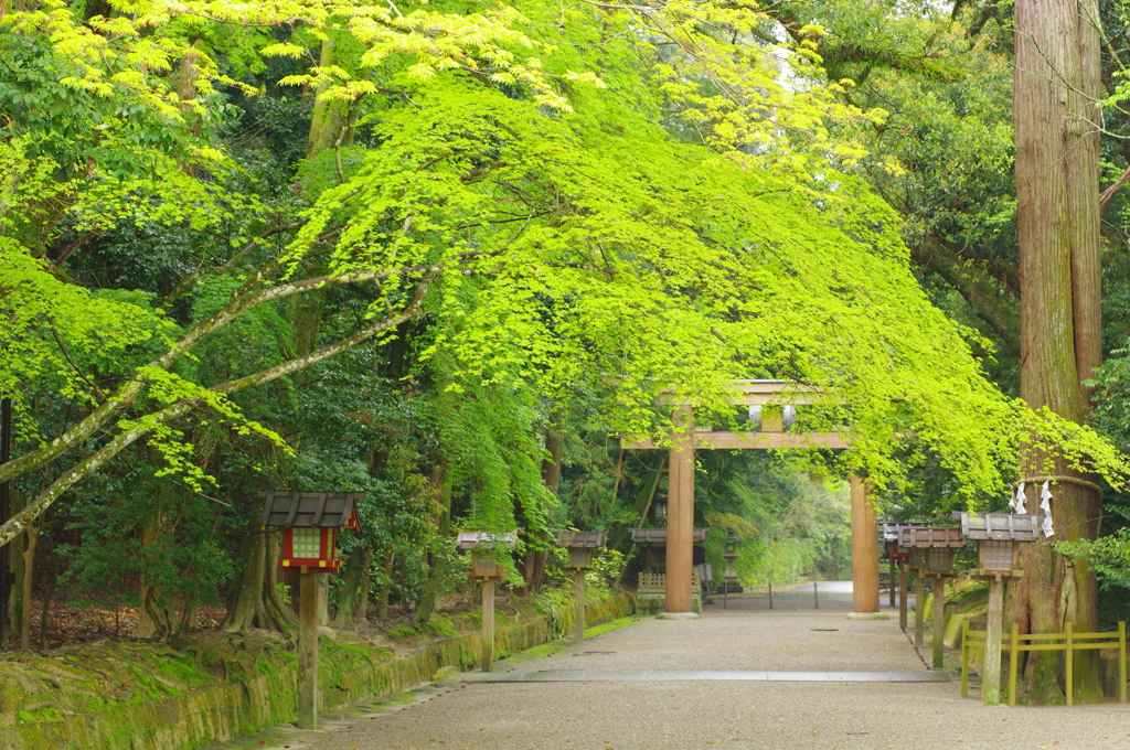 石上神宮