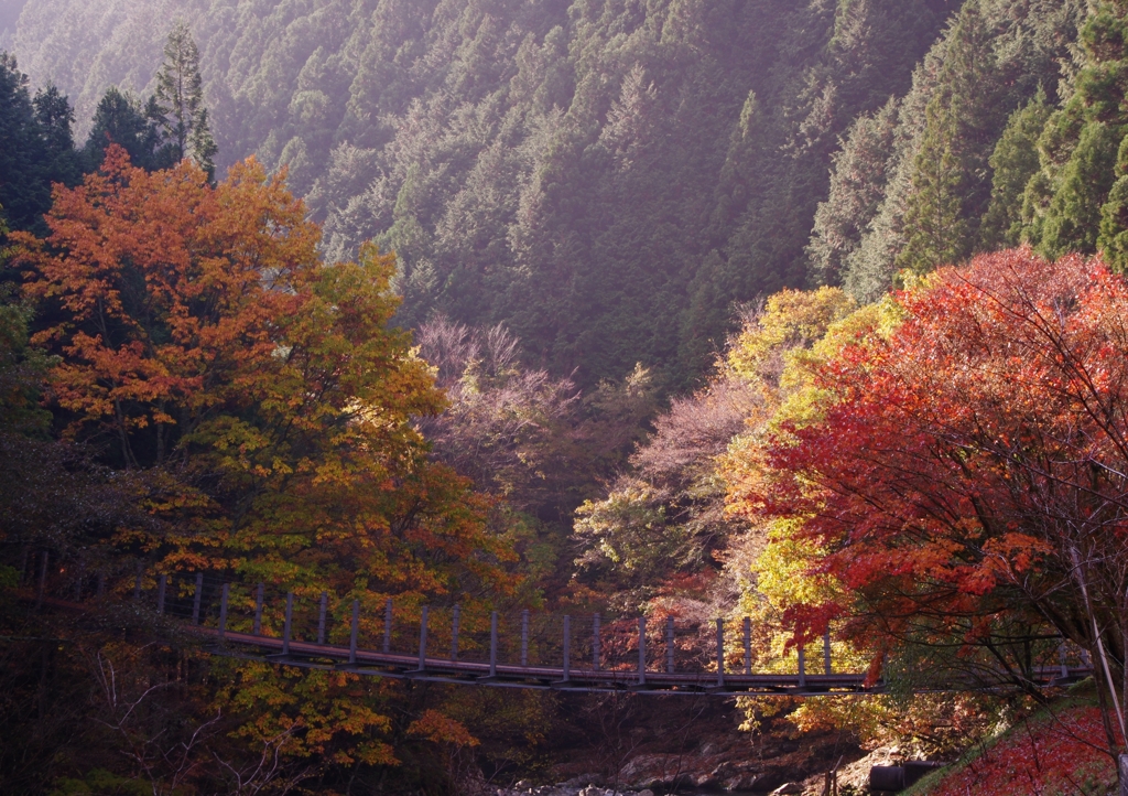 錦秋のつり橋