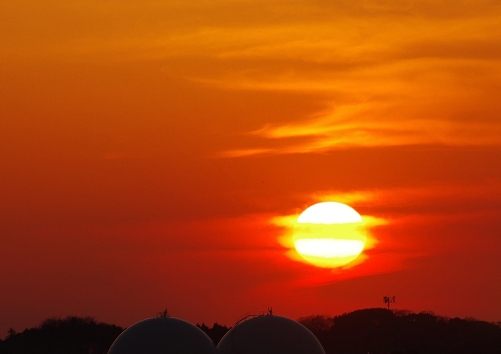 マフラーを巻いた夕日