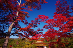 紅（くれない）の光