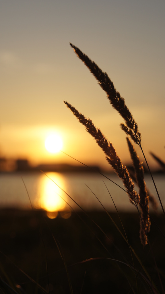 夏と夕日と海と