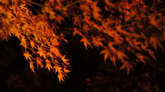 清水にて