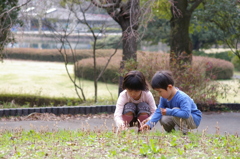 つくし