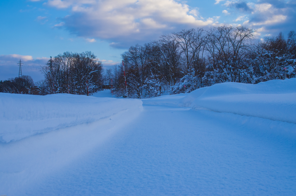 もふもふ雪の道路！