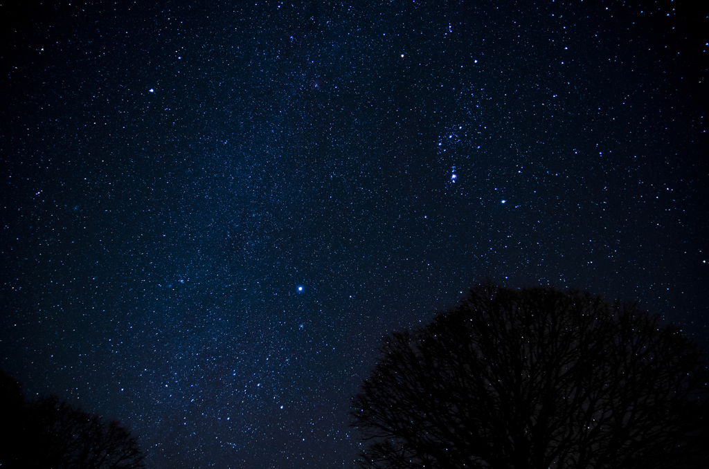 冬の星空！
