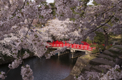 弘前城内の橋