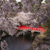 弘前城内の橋