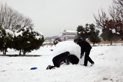 宮跡にかまくら出現