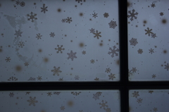 お散歩スナップ ～雪の前ぶれ～