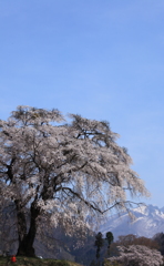 春景