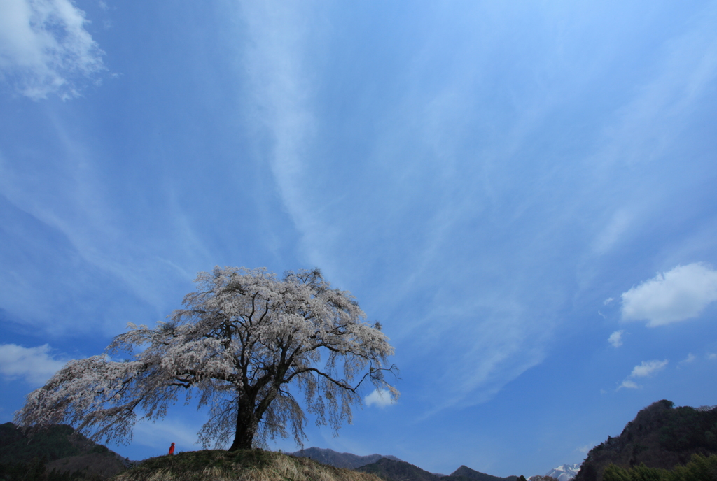 春空の下で