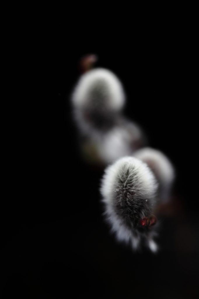 背景黒３