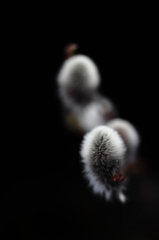 背景黒３