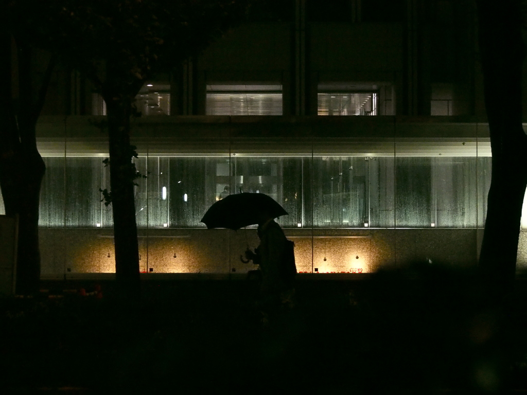 雨の帰宅