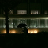 雨の帰宅