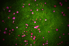 .PINK