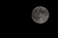 CSC_0053