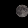 CSC_0053