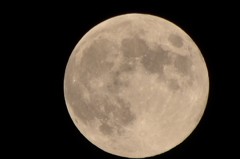 CSC_0021