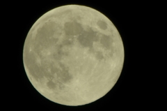CSC_0023