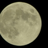 CSC_0023