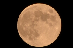 CSC_0020