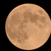 CSC_0020