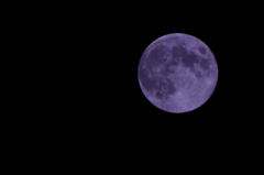 CSC_0054