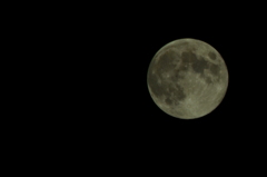CSC_0056