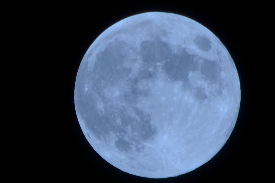 CSC_0024