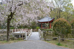 岐阜公園