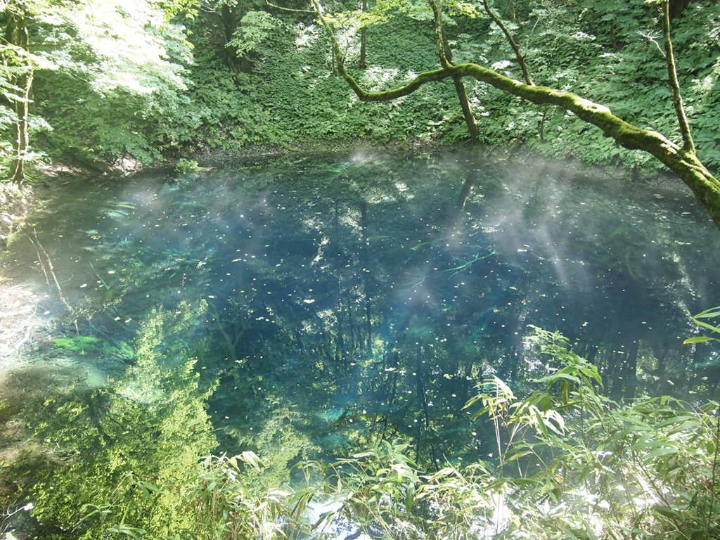 青池