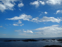 海