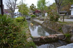 岐阜公園