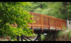 橋の向こうには