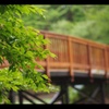 橋の向こうには