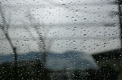 1月8日水曜日雨の朝