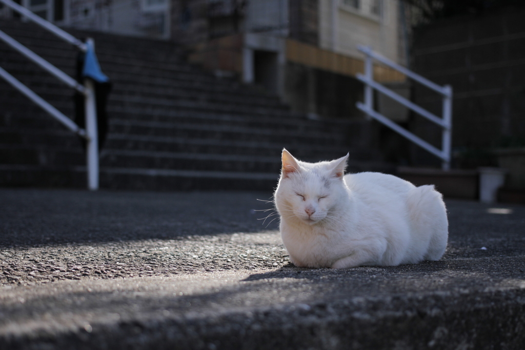 長崎市　城山公園